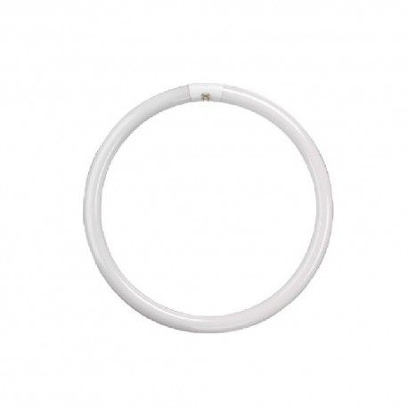 Λάμπα φθορίου κυκλική T9 G10Q 240V Eurolamp