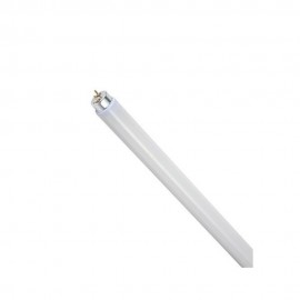 Λάμπα φθορίου T8 G13 6500K 240V Eurolamp