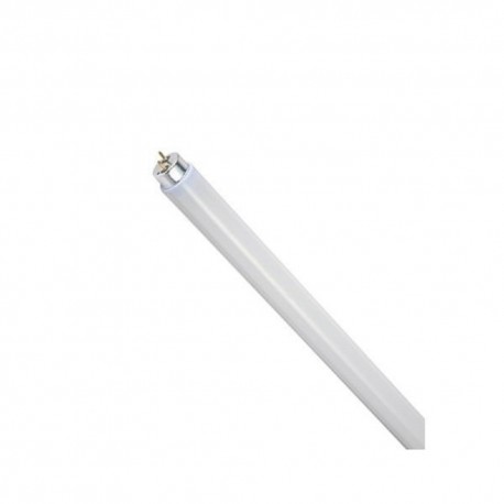 Λάμπα φθορίου T8 G13 6500K 240V Eurolamp