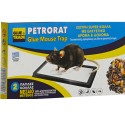 Κόλλα ποντικιών σε πιάτο Petrorat glue mouse trap